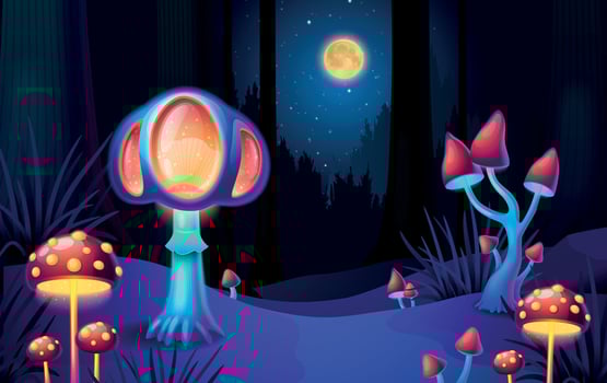 Magic Mushrooms Background vector