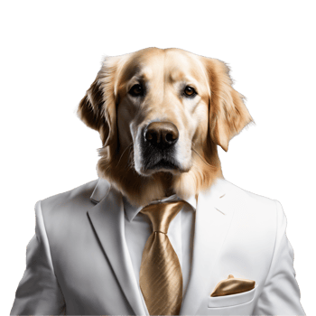 Portrait of Humanoid Anthropomorphic Golden Retriever Dog Wearing White Business Suit Isolated Transparent Generative AI png