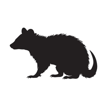 possum silhouette Vector