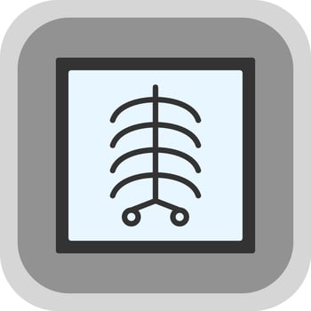 X Ray Vector Icon Design
