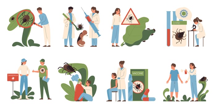 Ticks Insects Set vector