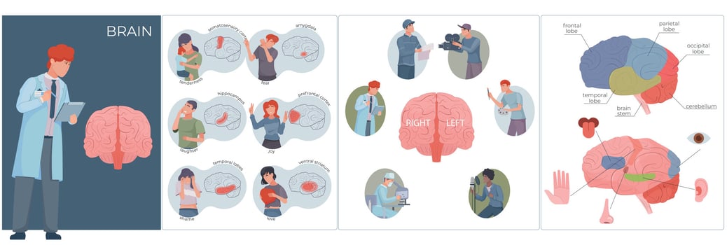 Brain Function Composition Set vector