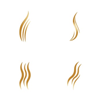 hair wave logo vector illustration design