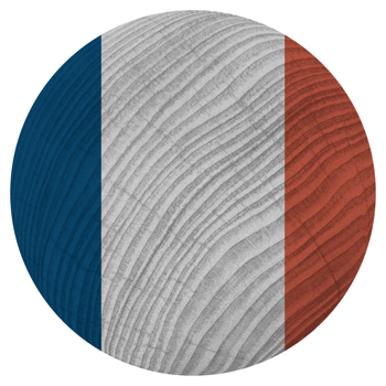 France Country Flag in Circle Shape png