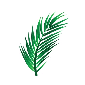 Vector beautiful decorative green palm leaf illustration design