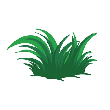 Vector green grass on a white background