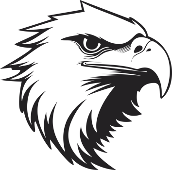 White eagle Head Illustration png