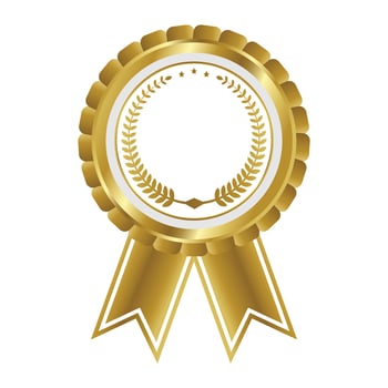 Gold medal set badge the best award vector
