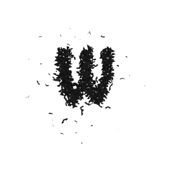 Static Halloween Typeface Formed Of Flying Bats with alpha the character W png