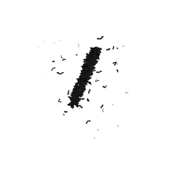 Static  Halloween Typeface Formed Of Flying Bats with alpha the character BACKSLASH png
