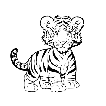 Cute cartoon baby tiger line drawing png