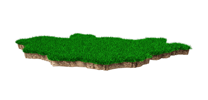Mongolia Map soil land geology cross section with green grass and Rock ground texture 3d illustration png