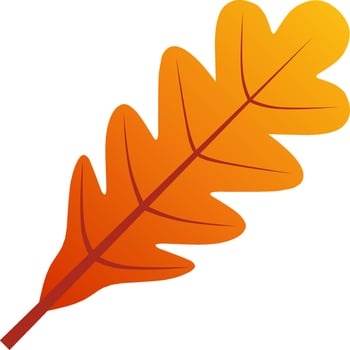 Oak leaf vector icon for autumn celebration. Fall season oak leaf icon for cozy or hygge design graphic. Autumn leaf vector design for symbol, decoration or graphic resource