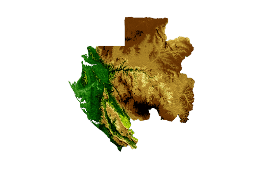 Gabon Map Shaded relief Color Height map 3d illustration png