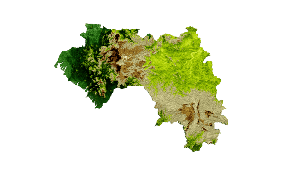 Guinea Map Shaded relief Color Height map  3d illustration png