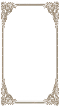 Floral Simple Frame Border PNG Transparent Background