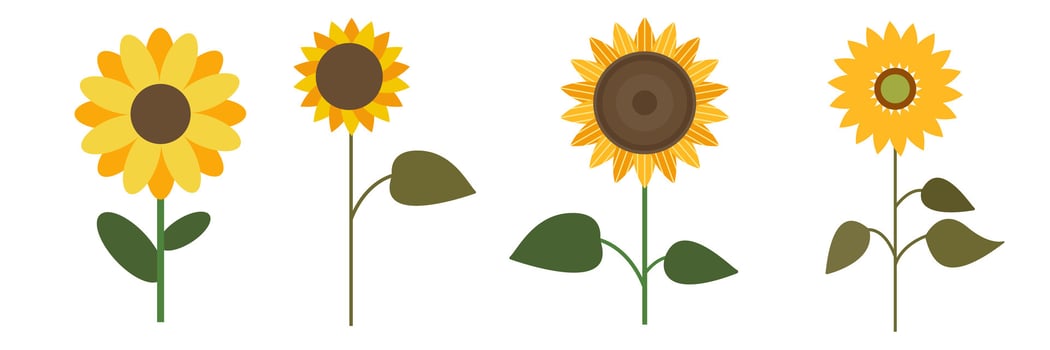 thanksgiving and autumn cute sunflower on a special background. vector