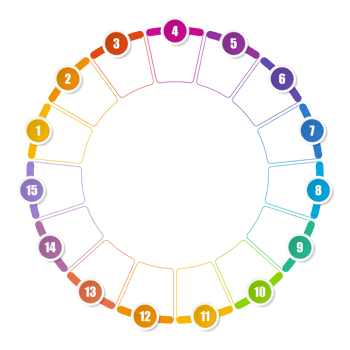 Infographic with 15 steps, process or options. png