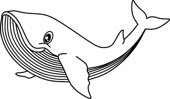 whale line art cartoon for coloring book page vector