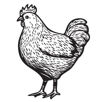 Chicken Hen standing sketch hand drawn in doodle style illustration vector