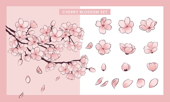 Blossoming beauty cherry blossom vector set