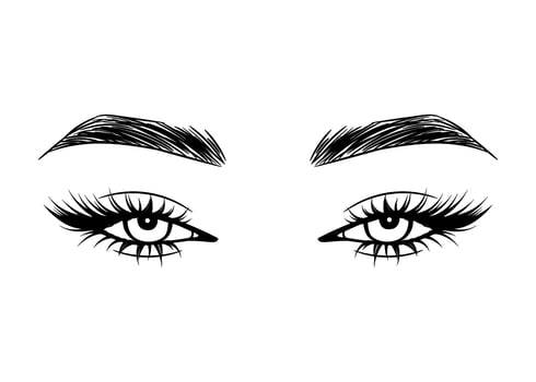Vector Hand drawn beautiful female eyes with long black eyelashes and brows close up.