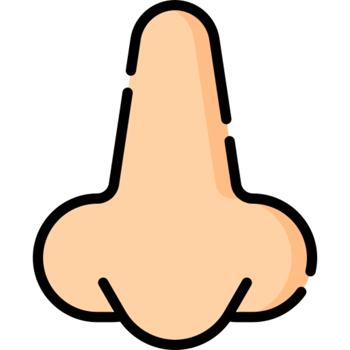nose icon design png