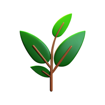 herbs 3d rendering icon illustration png