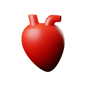 human real heart 3d rendering icon illustration png