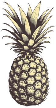 pineapple illustration ai generative png