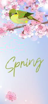 Japanese Nightingale on a branch of cherry blossoms. Hanami in Japan. Pink Sakura and Uguisu. Songbird symbol of spring and love on sky background. Vector illustration.