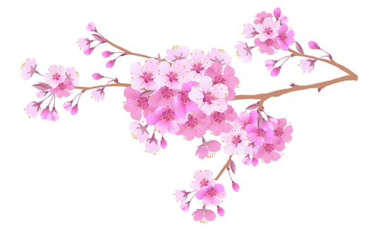 Sakura is a symbol of love on a white background.Blooming branch of Japanese cherry. Design for any purpose. Realistic illustration. A romantic concept for a mother's day gift. Retro style. vector