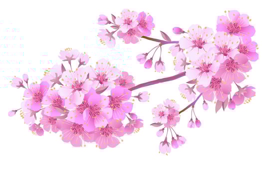 Sakura is a symbol of love on a white background.Blooming branch of Japanese cherry. Design for any purpose. Realistic illustration. A romantic concept for a mother's day gift. Retro style. vector