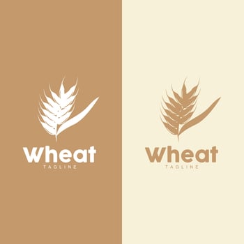 Wheat Logo Grain Design Simple Illustration Template vector