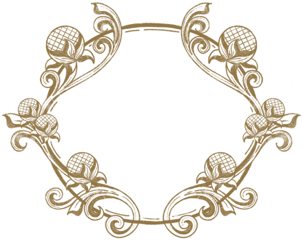 Vintage Decorative Frame. Flower decoration circle. Ornate border hand drawn. png