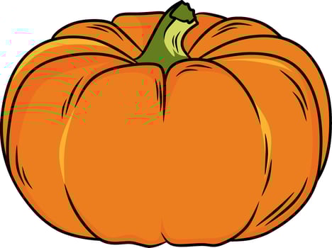 Pumpkin fruit vector illustration drawing
