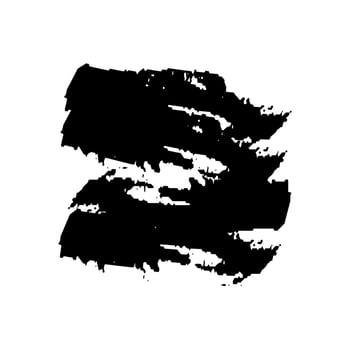 Black Paint Brush Grunge . Ink Brush Texture Shape . Splash Brush . vector