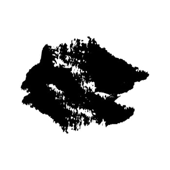 Black Paint Brush Grunge . Ink Brush Texture Shape . Splash Brush . vector