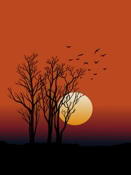 Sunset background with trees in silhouette vector