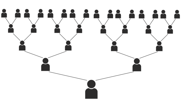 Business tree illustration. Describe multilevel marketing png