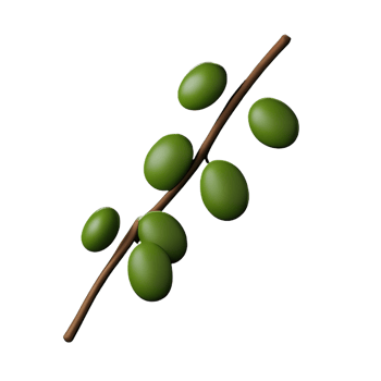 olive branch 3d rendering icon illustration png