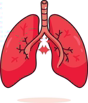 Red Lungs illustrations vector
