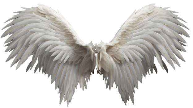 Realistic Style Angel's Wings No Background Perfect for Photograph Backdrop Ai Generated png