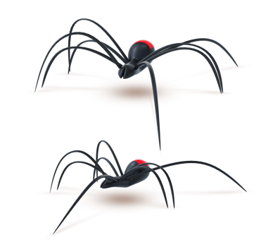 3D Rendering Black Spider Side And Frontside View png