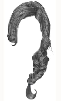 trendy women hairs gray colour . plait .  fashion beauty style . vector