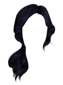 trendy women hairs brunette black colour .tail .  fashion beauty style . vector
