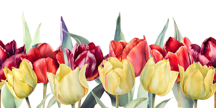 Seamless border of watercolor tulips flowers. Floral design for greeting cards, banners, posters. AI Generative png