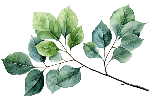 Branch with leaves on transparent background, created with generative AI png