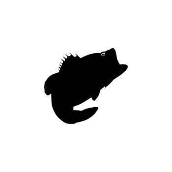 Bass Fish Silhouette, can use for Art Illustration, Logo Gram, Pictogram, Mascot, Website, or Graphic Design Element. Vector Illustration