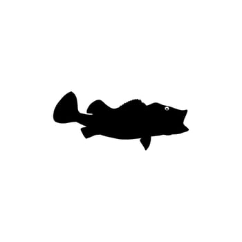 Bass Fish Silhouette, can use for Art Illustration, Logo Gram, Pictogram, Mascot, Website, or Graphic Design Element. Vector Illustration